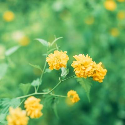 我本沉默神途互通版手游